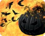 Bats and Black Pumpkin Air Freshener